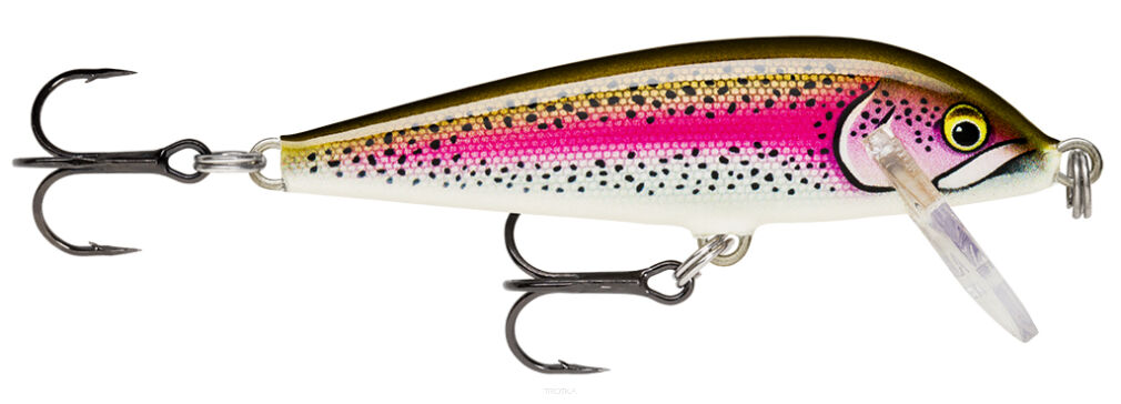 Rapala CountDown 5cm 5g Artistic Rainbow Trout wobler