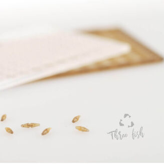 Stopery Zfish Boilie Stops ZX - 2