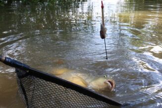 Koszyk Guru X-Safe Method Feeder Large - 28g GLMX