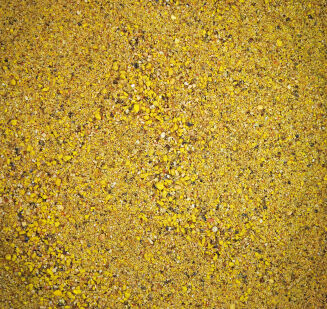 Zanęta Tubertini Gold Medal Yellow 1kg - 2