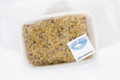 Zestaw Ziaren Carp Seeds 4kg BOX - Kukurydza Scopex