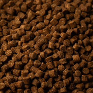Pellet Skretting Coarse Fish 6mm 25kg - 3