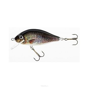 Wobler Jaxon Holo Select - Karaś 8cm 13g - FWVJ-KA8FW