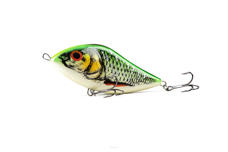 Salmo Wobler Spotted Silver Roach 16cm Sinking