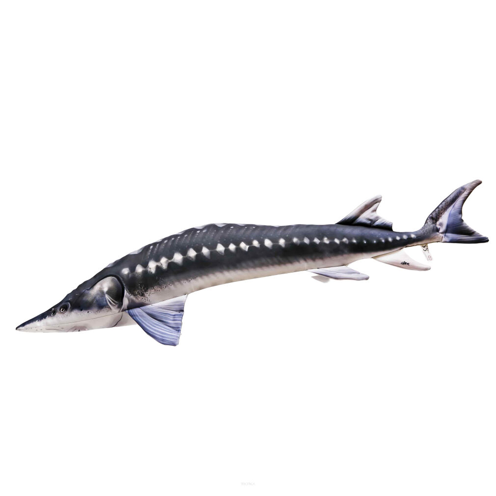 Pluszak/ Poduszka Jesiotr Mini 36cm