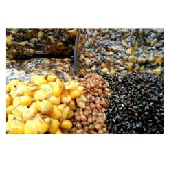 Gotowe ziarno zanętowe Carp Seeds - Miks A - Konopie, Kukurydza, Pszenica 2kg  