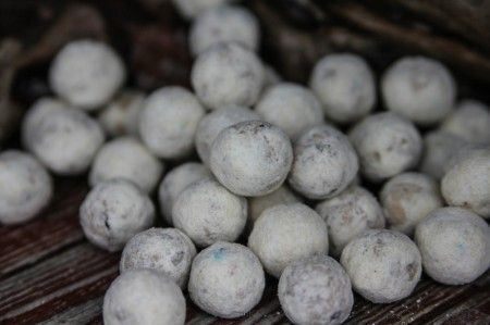 Kulki zanętowe Meus Spectrum 1kg - Rum&Kokos 20mm