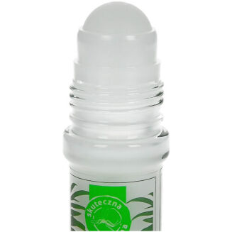 Preparat W Kulce Mugga Roll On Deet 20% - 2