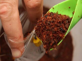 Worki Korda Solidz PVA Bag System - Large - 5