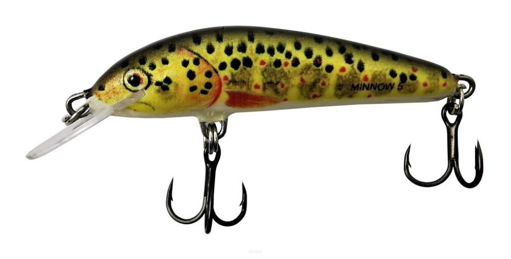 Salmo Wobler Minnow 5cm Trout Floating