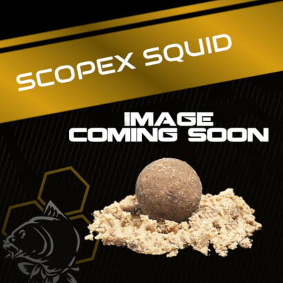 Kulki Nash Scopex Squid Cult Coated Hookbaits 24mm