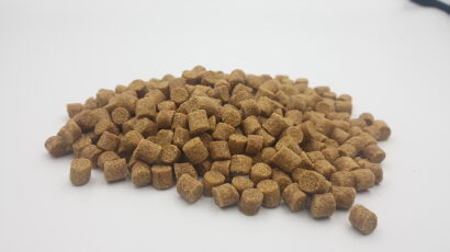 Pellet zanętowy Skretting - Coarse 6mm / 1kg