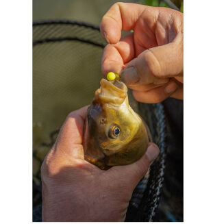 Kulki Sonubaits Spike'um Wafters Banoffee 8mm 40g - 5