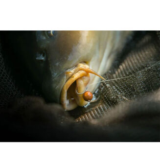 Haczyki Nash Claw Micro Barbed - 12 - 5