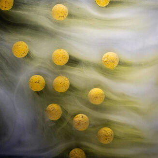 Liquid Mainline Smart Liquid 250ml Pineapple (Ananas) - 4