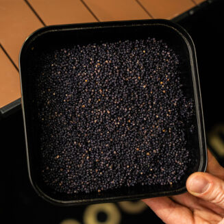 Liquid Solbaits Hybrid Black 250ml - 5