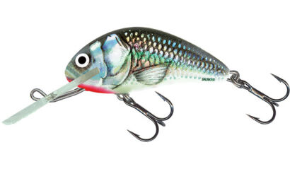 Salmo Hornet 5cm 7g Holographic Grey Shiner Floating wobler