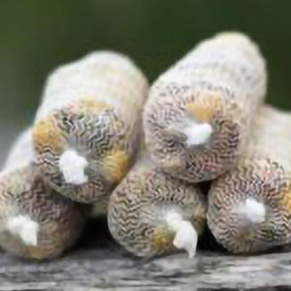 Zapasowa Siatka PVA Under Carp 35mm 7m - 3