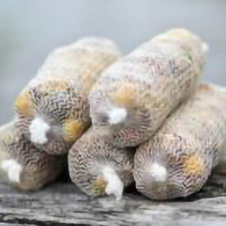 Zapasowa Siatka PVA Under Carp 35mm 7m - 4