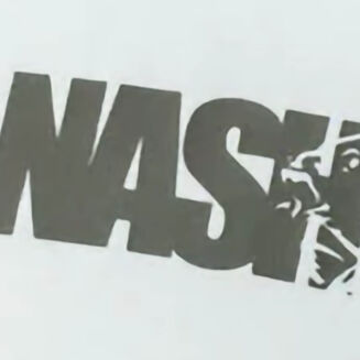 Koszulka Nash Make It Happen Carp Logo T Shirt Ecru - L - 5