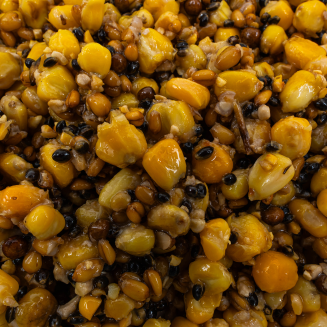 Mix Ziaren Vital Baits Prepared Particles Mix Bucket 3kg - 2