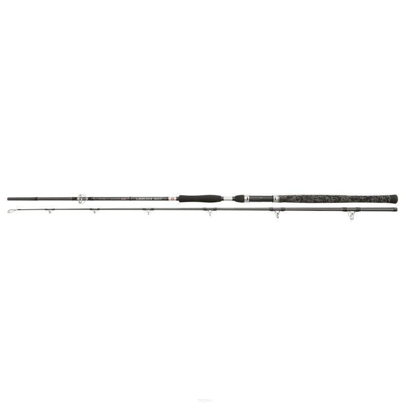 Penn Legion Cat Silver Allround 300cm 100-300g wędka sumowa