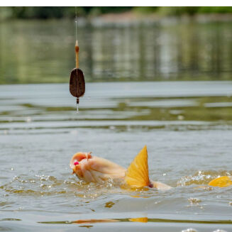 Podajnik Map MF Medium 24g - 4