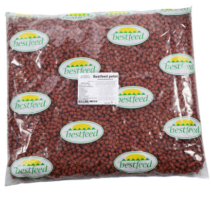 Pellet Zanętowy Bestfeed 8 mm Squid Pikantny 5kg