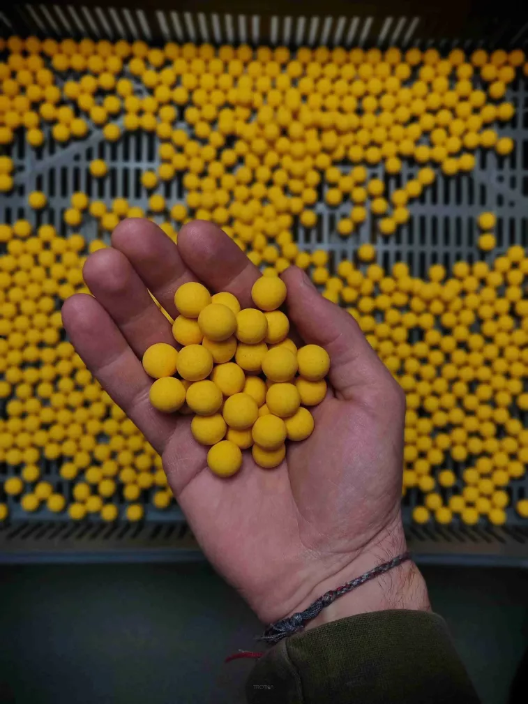 Kulki Pop Ups Forgotten Flavours 15mm - Scopex Squid Yellow