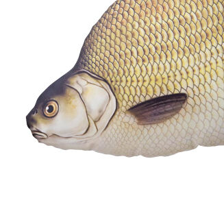 Pluszak/ Poduszka Leszcz 65cm - 2