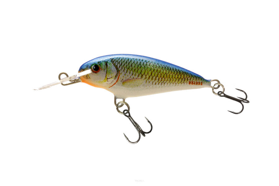 Dorado Invader Floating 6cm 6g K-3 B