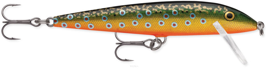 Rapala Countdown CD11 11cm 16g BTR Brook Trout wobler