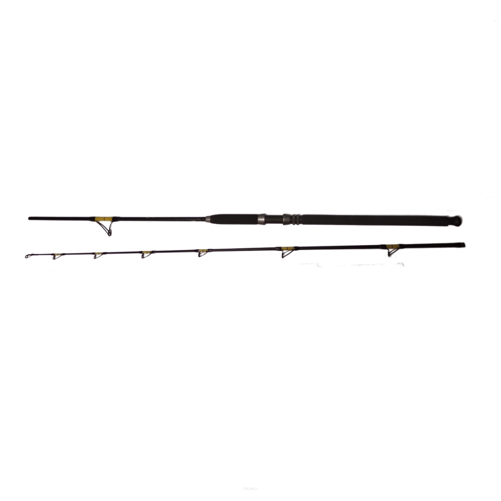 Wędka sumowa FL Catfish Passion Pro 2,70m / 300-600g