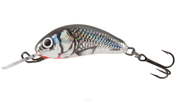 Salmo Hornet 3.5cm 2.6g Holographic Grey Shiner Sinking wobler