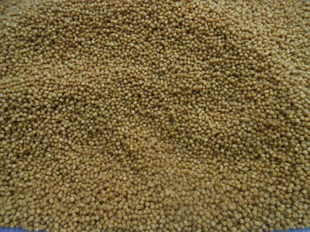 Pellet zanętowy Coppens 0,5kg - Premium Coarse 2mm 