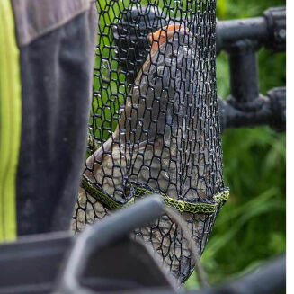 Kosz Do Podbieraka Matrix Carp Scoop XL Net - 60 x 50cm - 5