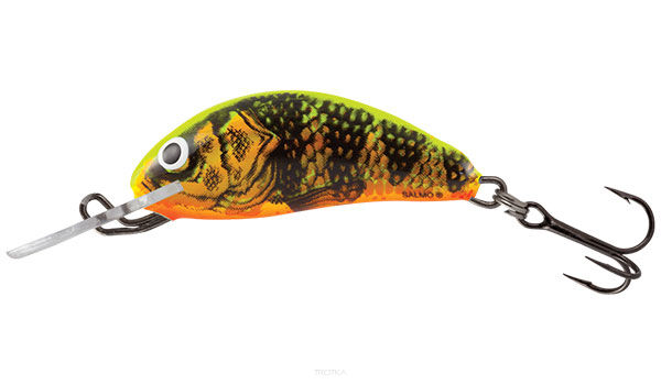 Salmo Hornet 3.5cm 2.2g Gold Fluo Perch Floating wobler