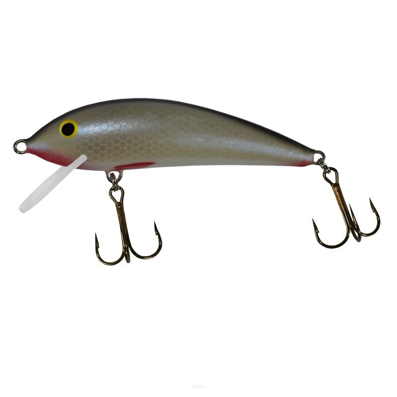 Wobler Gloog - Kalipso 80 NP