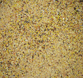 Zanęta Tubertini Gold Medal White 1kg - 2