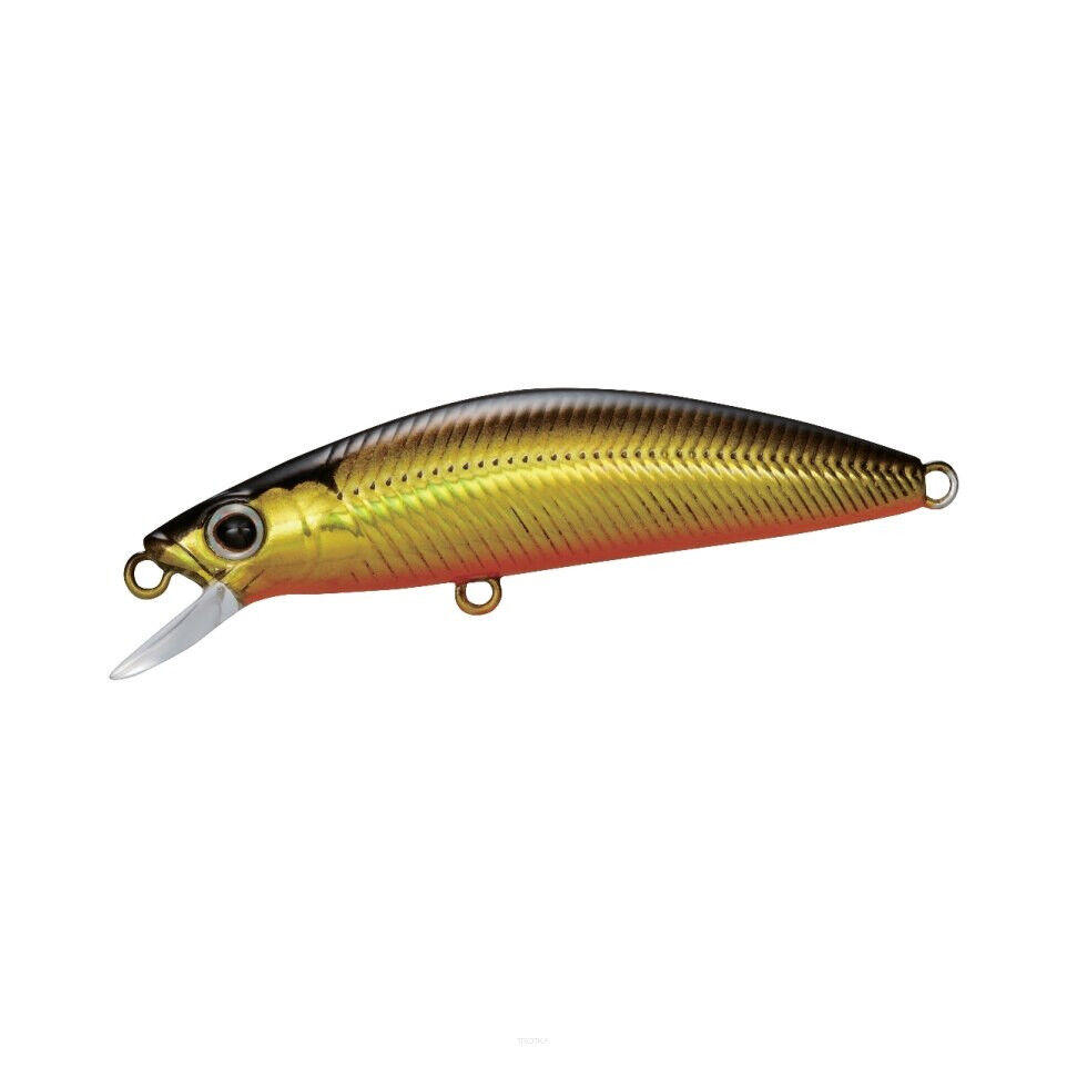 Shimano Cardiff Folletta 3.3g 50mm 0.5-1.0m  008 Black Gold Slow Sinking