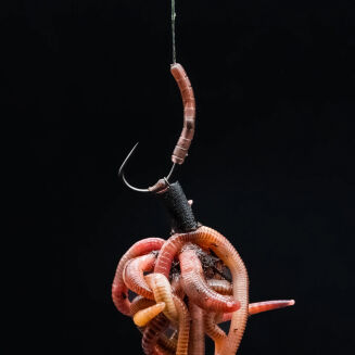 Pozycjonery One More Cast Dazzlers Worm Brown Long Distance Hookbead - Small - 4