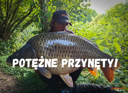 Massive Baits! Wysokiej jakości produkty karpiowe prosto z Polski!