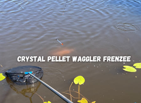 Pellet Waggler Frenzee. Dobre i tanie wagglery do techniki Pellet Waggler.