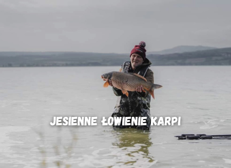 W Poszukiwaniu Złota Jesieni: Łowienie Karpi w Jesienne Dni