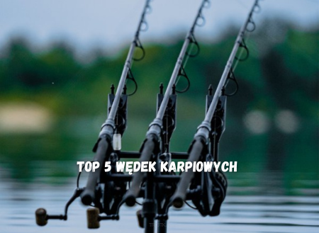 Top 5 Najlepszych Wędek Karpiowych - Którą Wędkę Wybrać?