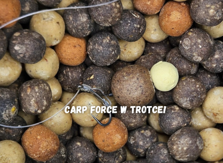 Carp Force: Rewolucja w Wędkarstwie Karpiowym