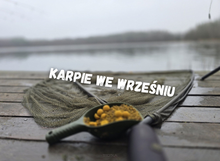 Jak złowić karpia we wrześniu? Poradnik dla wędkarzy